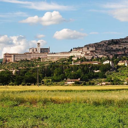 Vista Assisi Bed & Breakfast ภายนอก รูปภาพ