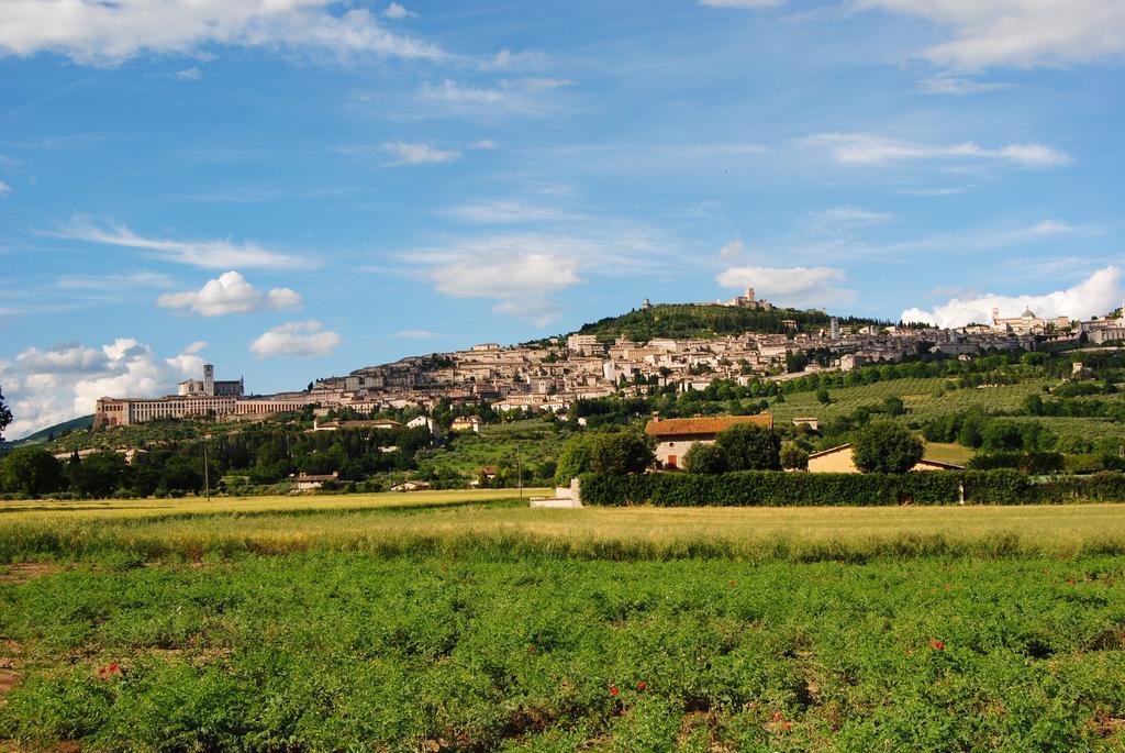 Vista Assisi Bed & Breakfast ภายนอก รูปภาพ