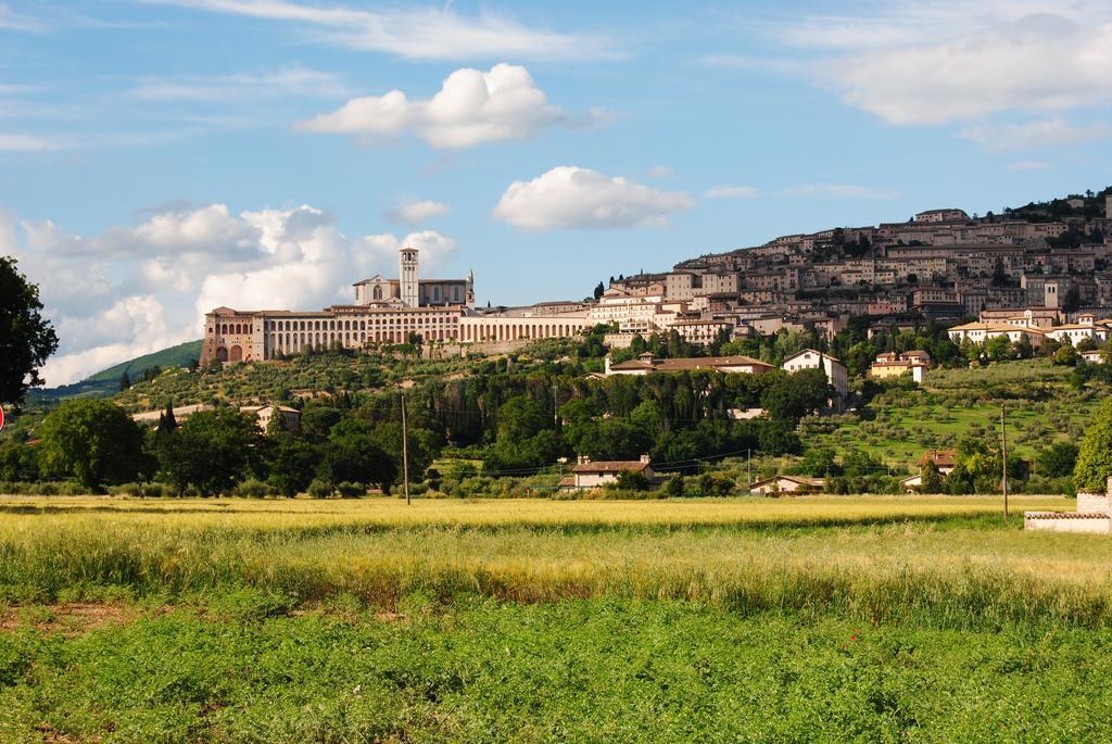 Vista Assisi Bed & Breakfast ภายนอก รูปภาพ