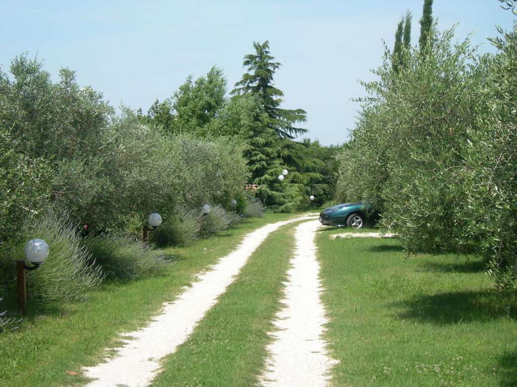Vista Assisi Bed & Breakfast ภายนอก รูปภาพ