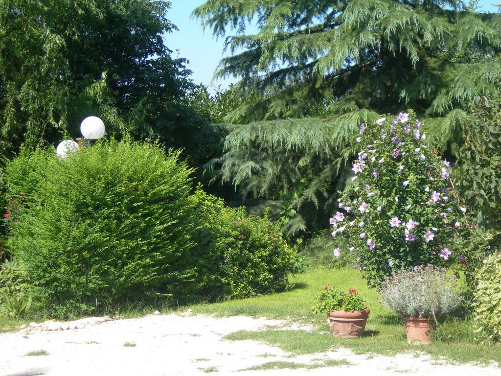 Vista Assisi Bed & Breakfast ภายนอก รูปภาพ