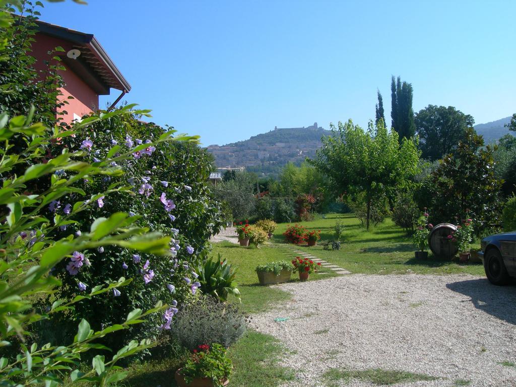 Vista Assisi Bed & Breakfast ภายนอก รูปภาพ