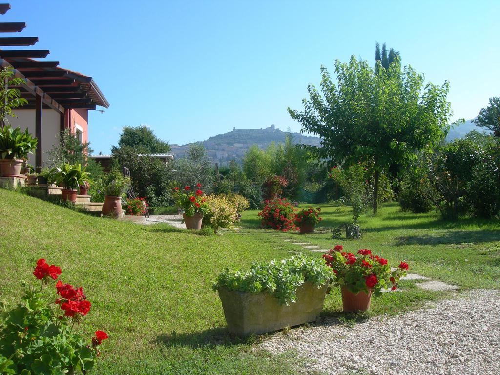 Vista Assisi Bed & Breakfast ภายนอก รูปภาพ