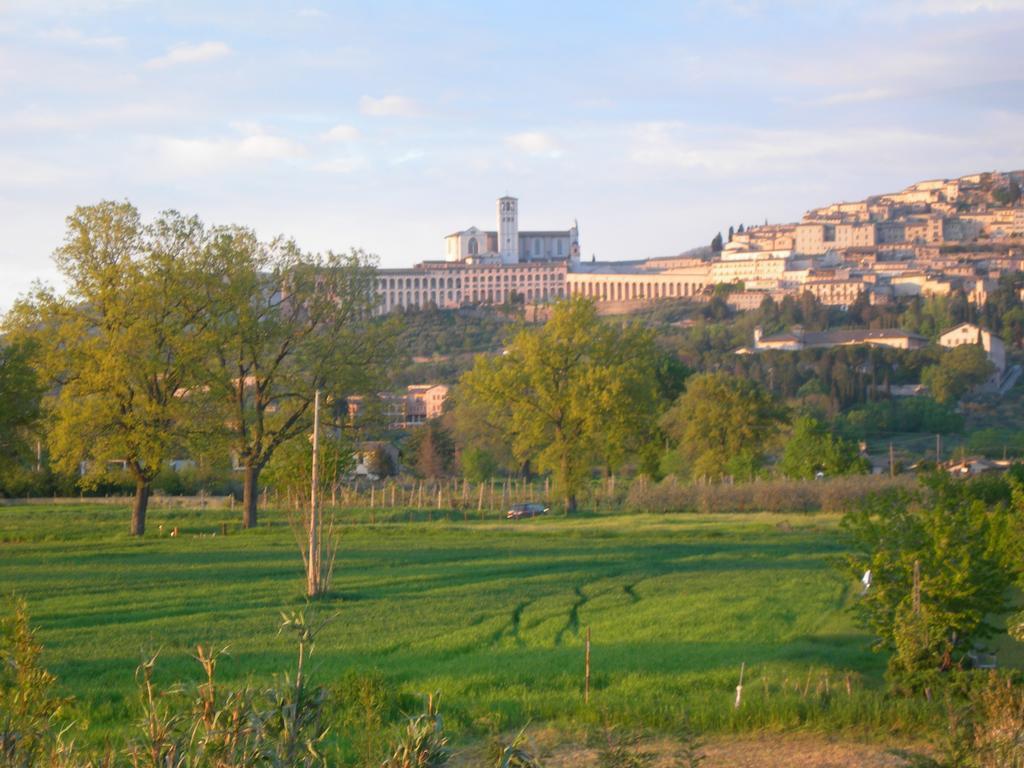 Vista Assisi Bed & Breakfast ภายนอก รูปภาพ