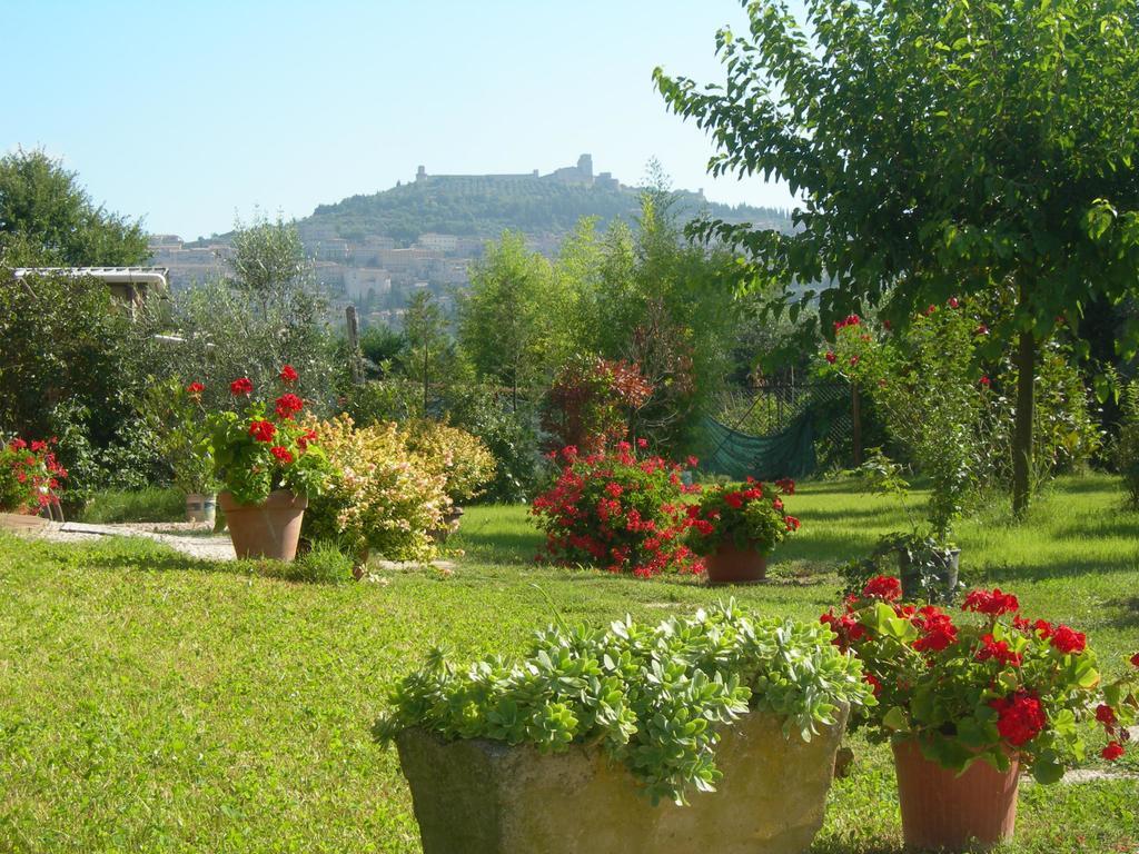 Vista Assisi Bed & Breakfast ภายนอก รูปภาพ