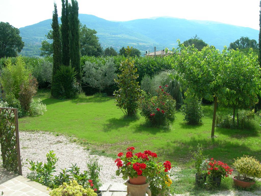 Vista Assisi Bed & Breakfast ภายนอก รูปภาพ