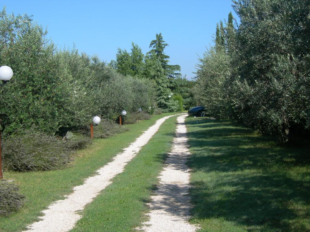 Vista Assisi Bed & Breakfast ภายนอก รูปภาพ